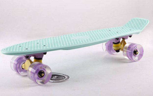 Комплект Fish Skate 22.5" Pastel/LED - Мятный Светятся колеса