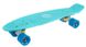 Пенни Борд Fish Skateboard 22.5" Aqva- Аква 57см (FC16)