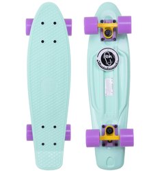 Пенні борд Fish Skateboards 22.5" Pastel Mint 57 см (FP1)