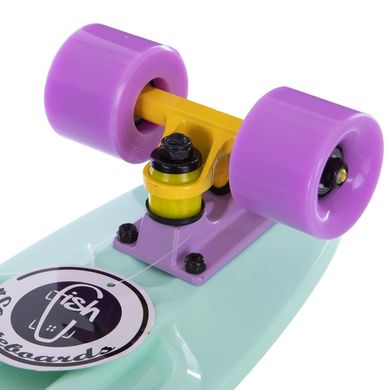 Пенні борд Fish Skateboards 22.5" Pastel Mint 57 см (FP1)