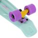 Пенни борд Fish Skateboards 22.5" Pastel Mint 57 см (FP1)