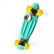 Fish Skateboards 22.5" Mint/Yellow- Мінт/Жовтий 57см пенні борд (FC13)