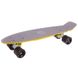 Fish Skateboards Grey-Yellow 22.5" - Сіро/Жовтий 57 см Twin (FSTT12)