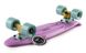 Пенни борд Fish Skateboards 22" Lilac 57 см (FP2)