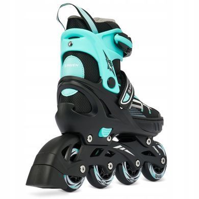 Раздвижные ролики Raven Profession Black/Mint размер 38-41 (smj379)