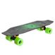 Мини лонгборд Fish Skateboards 22.5" - Зеленый / Лого 57 см (Fcd117)