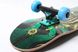 Скейтборд дерев'яний канадський клен для трюків Fish Skateboards - Скарабей 79см (sk89)