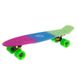 Fish Skateboards Amazon 22,5" - Амазон 57 см Soft-Touch пенні борд (FSTM6)