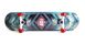Скейтборд деревянный канадский клен для трюков Fish Skateboards - 1st 79см (sk895)