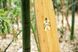 Лонгборд drop-through Arbor Bamboo Axis 40" (rz4183)