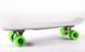 Fish Skateboards 22.5" Grey - Сірий 57см пенні борд (FC12)