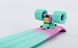 Fish Skateboards Peppermint 22" - Пеппермінт 57 см Soft-Touch пенни борд (FSTM2)