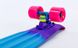 Fish Skateboards Melt 22" - Мелт 57 см Soft-Touch пенні борд (FSTM3)