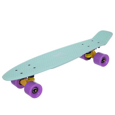 Fish Skateboards penny board 22.5" Pastel Mint - Мятний 57 см пенни борд (FP1)