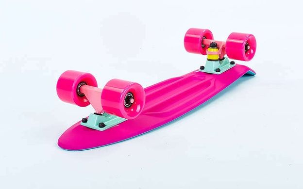 Fish Skateboards Light-Blue/Pink 22.5" - Голубой/Розовый 57 см пенни борд Twin (FSTT10)