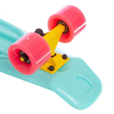 Fish Skateboards 22.5" Mint/Pink - Мятный/Розовый пенни борд (FP6)