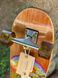 Скейт круизер деревянный Arbor - Solstice Pilsner 28.75" (71.12 см) (rz4163)