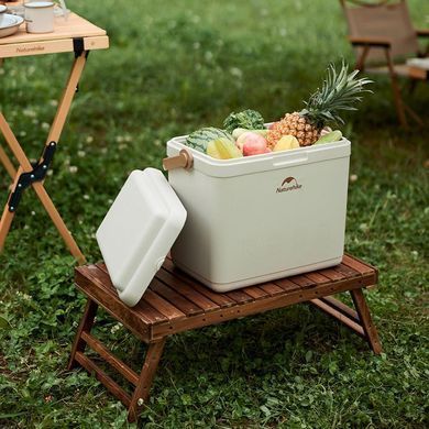 Туристический холодильник Naturehike CNK2300BS011 24 литра (ks233)