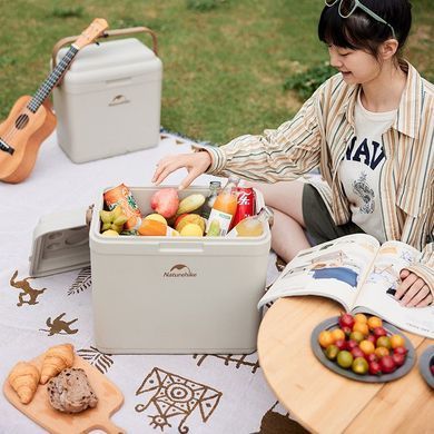 Туристический холодильник Naturehike CNK2300BS011 24 литра (ks233)