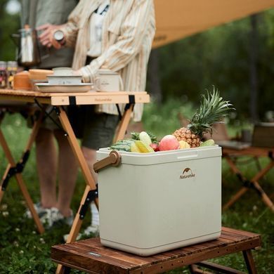 Туристический холодильник Naturehike CNK2300BS011 24 литра (ks233)