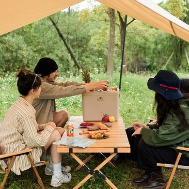 Туристический холодильник Naturehike CNK2300BS011 24 литра (ks233)