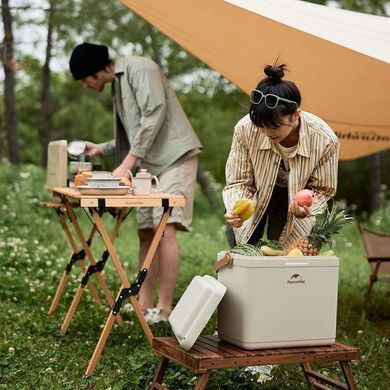 Туристический холодильник Naturehike CNK2300BS011 24 литра (ks233)