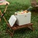 Туристический холодильник Naturehike CNK2300BS011 24 литра (ks233)